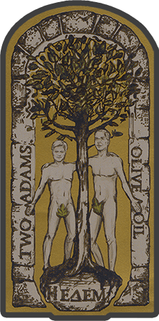 Two Adams Olive Oil